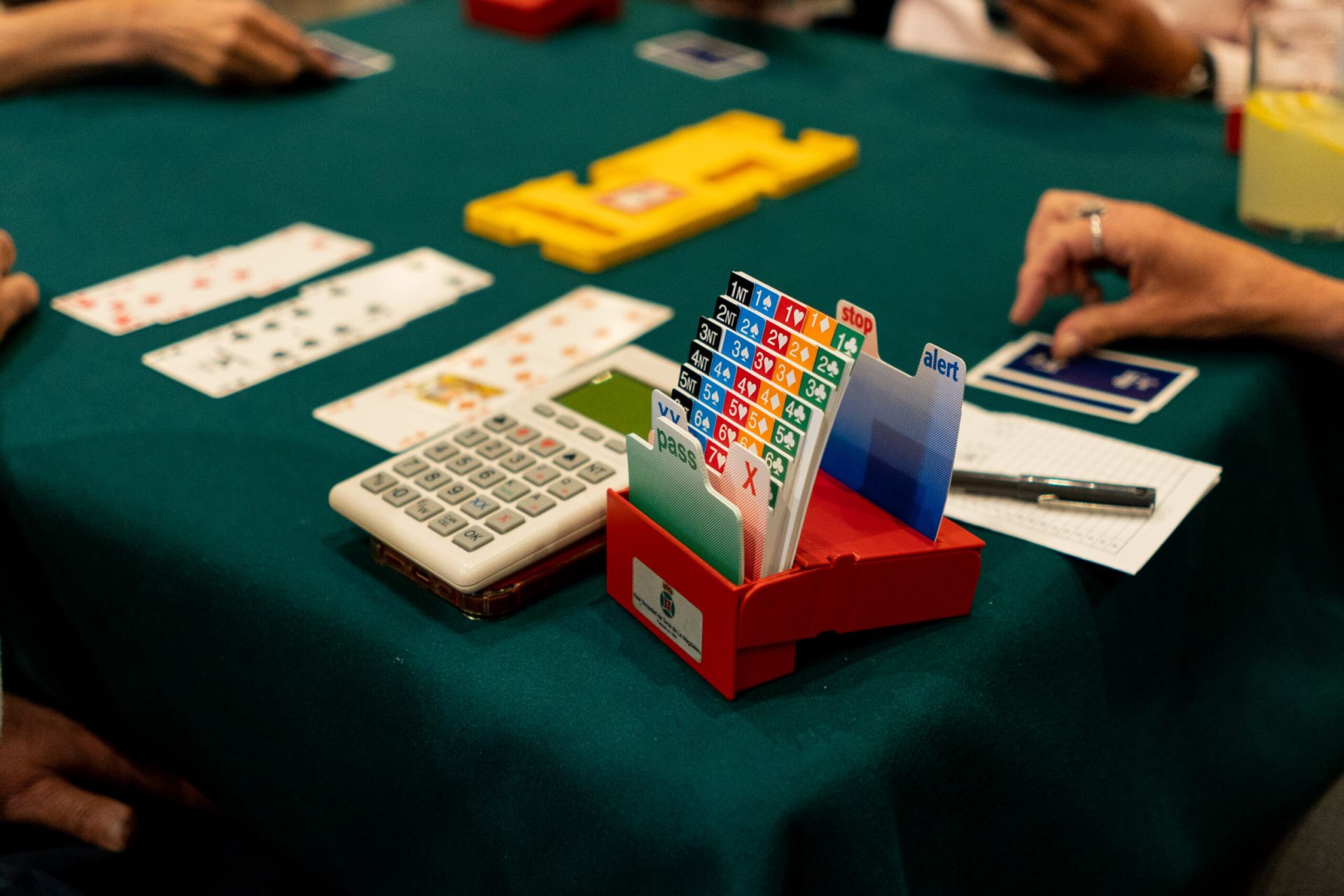 ♔ Curso de Bridge de iniciación y perfeccionamiento