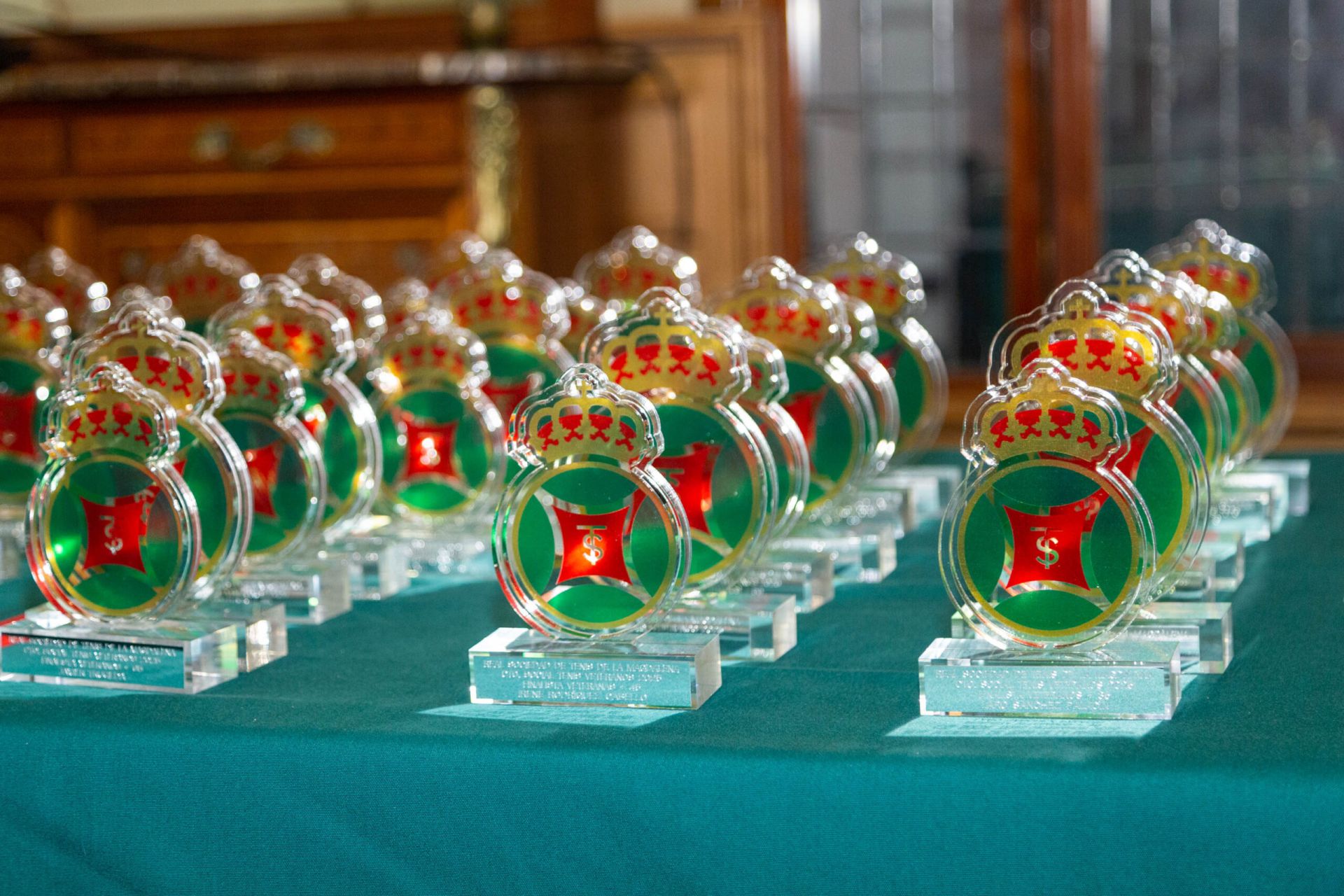 ♔ Álbum de fotografías de La Gala del Deporte 2025