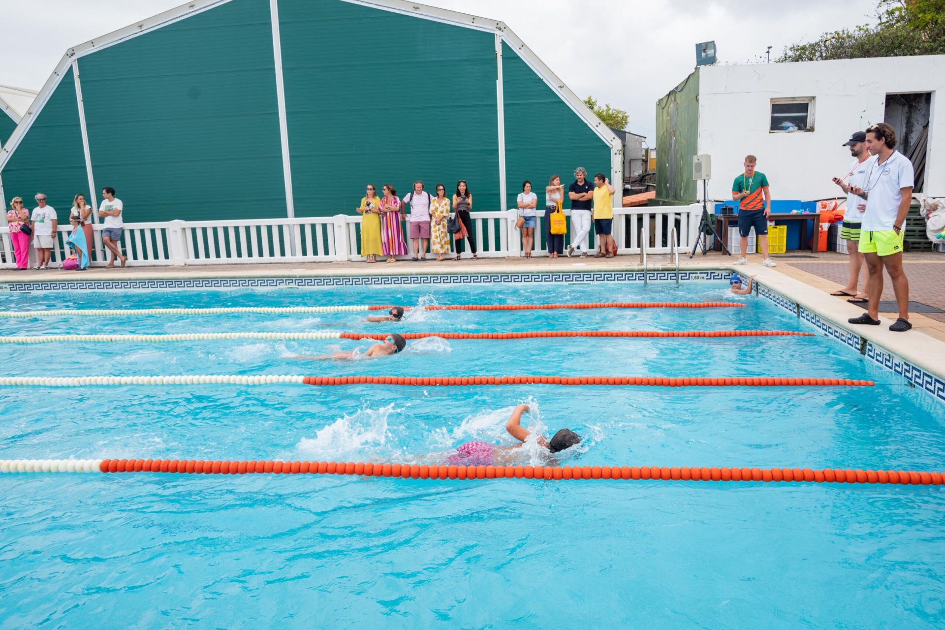 ♔ Álbum de fotografías del Campeonato Social de Natación 2025 – XVIII Memorial Antonio Zúñiga