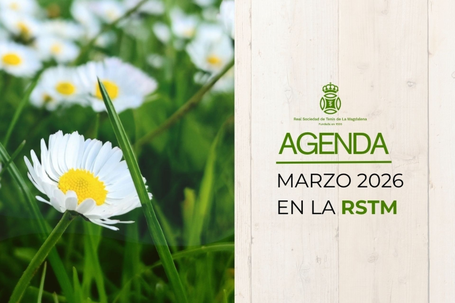 ♔ Agenda del mes