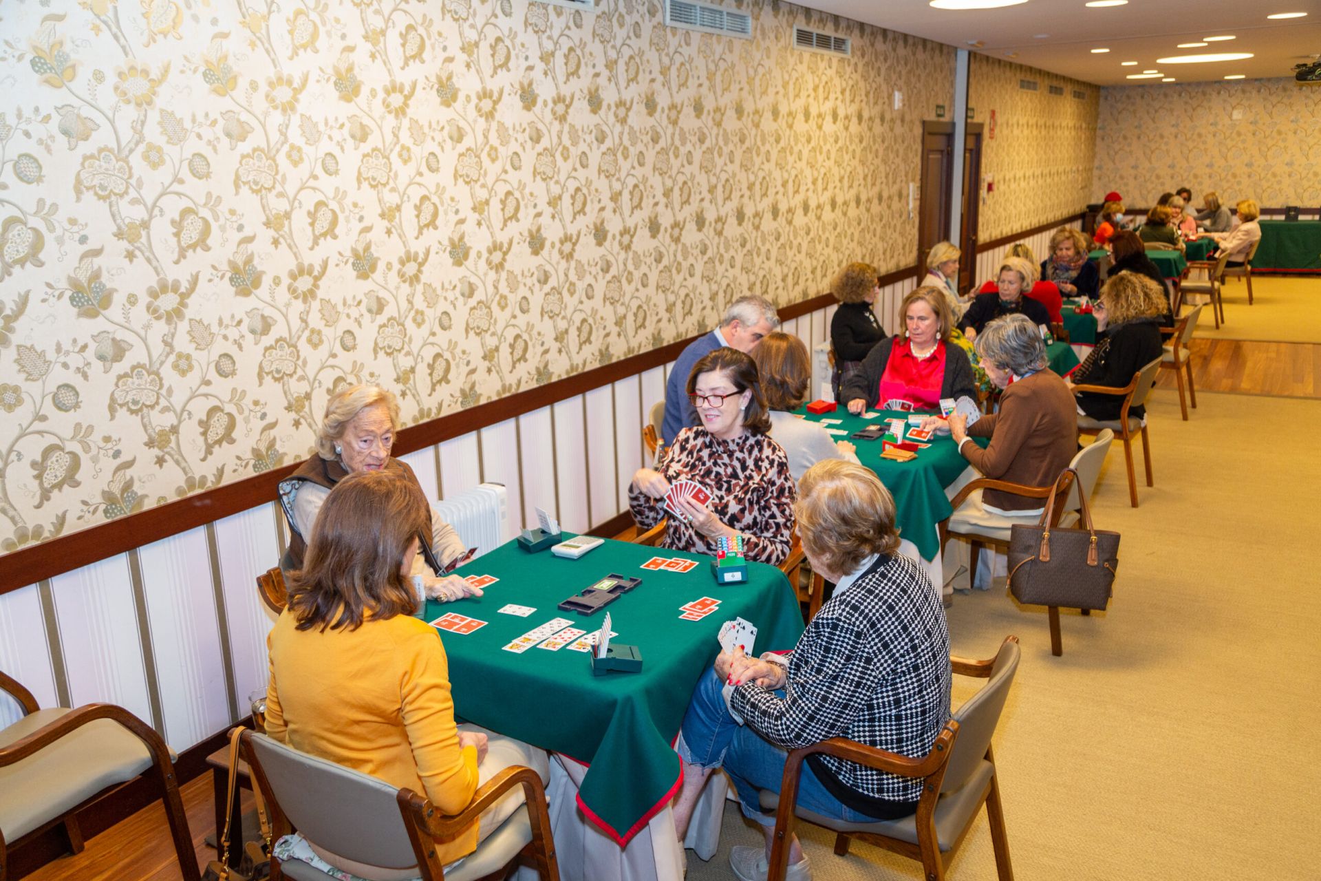 ♔ Álbum de fotografías del Torneo Social de Invierno de Bridge 2025
