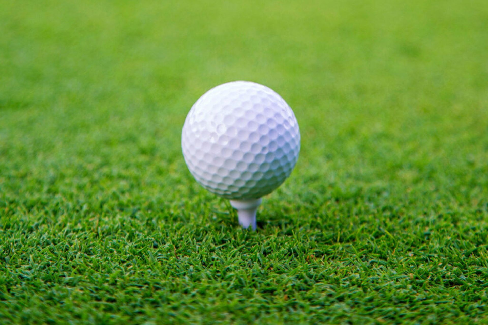 Orden de salidas del torneo de Golf XXI Memorial Luis Ortueta