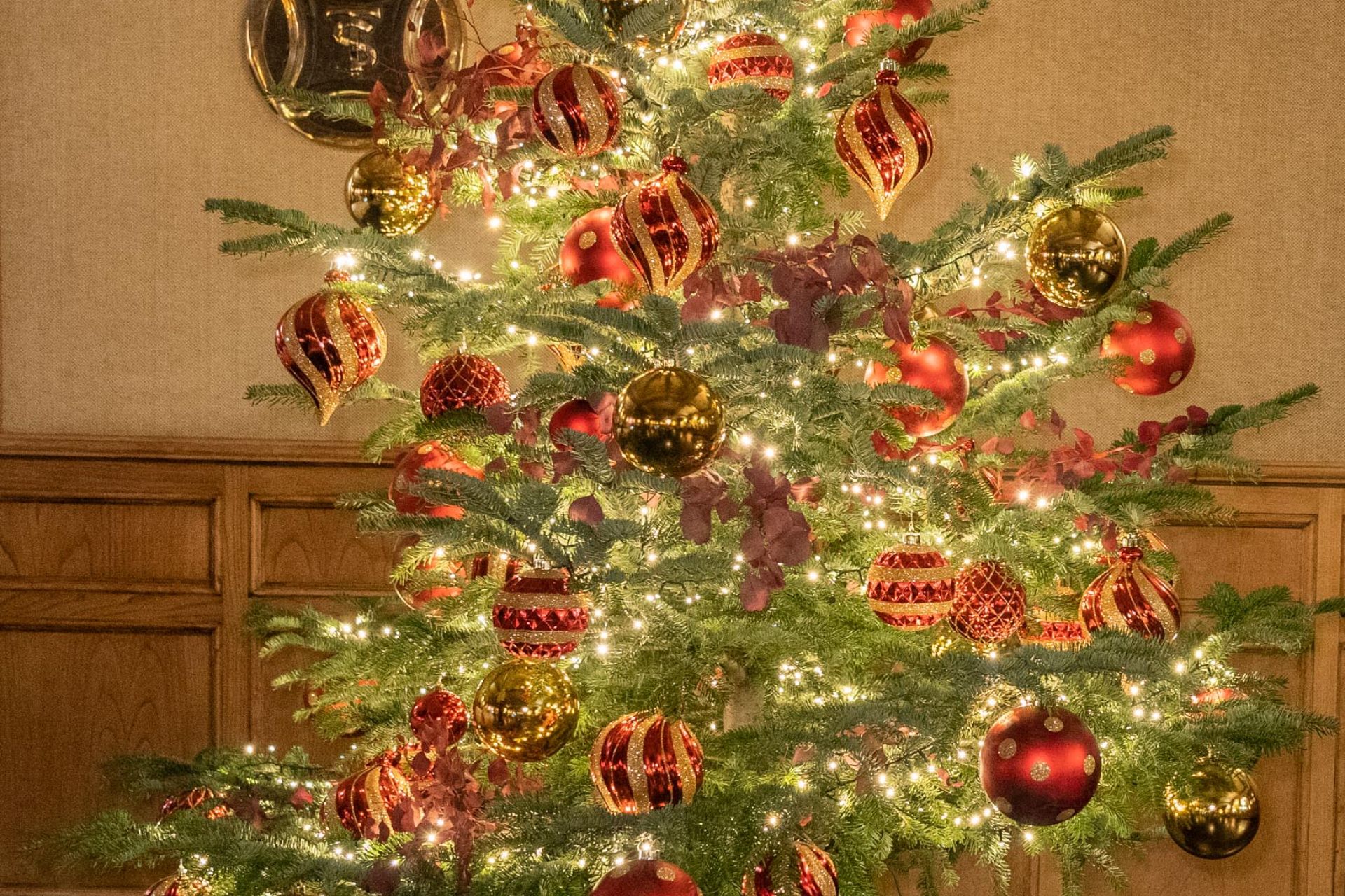 ♔ La RSTM enciende la Navidad